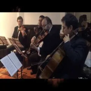 Grupo de camara