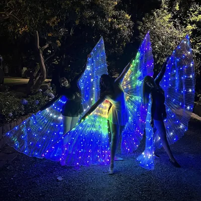 Bailarinas de Luz — Voiz Producciones