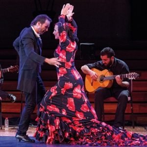 flamenco bogota