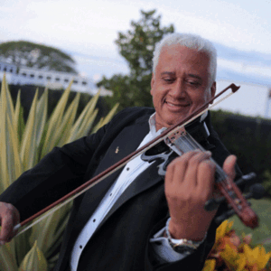 Violín solista en Medellín